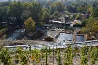 Praha 7 | Revitalizace skalního masivu v Zoo Praha – návrat vinné révy